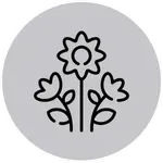 Icône
