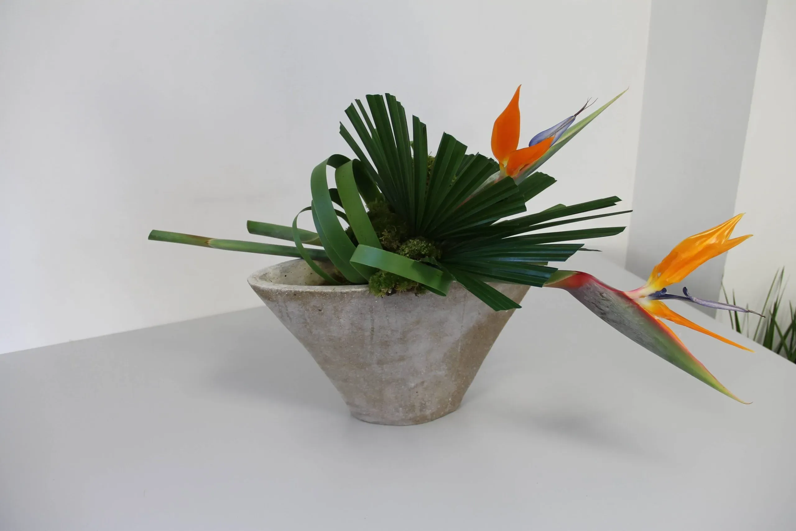 Photo art floral