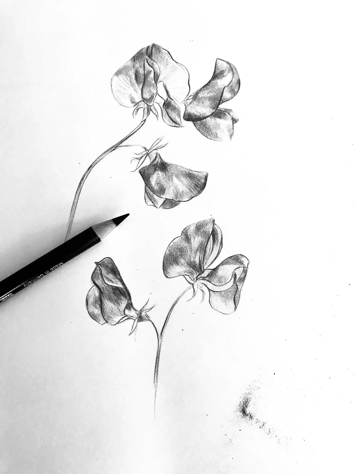 Photo dessin